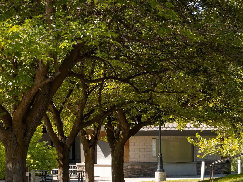 Who is the best HVAC & plumbing company in Layton, UT?